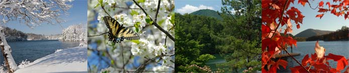 Four Seasons at Smith Mountain Lake