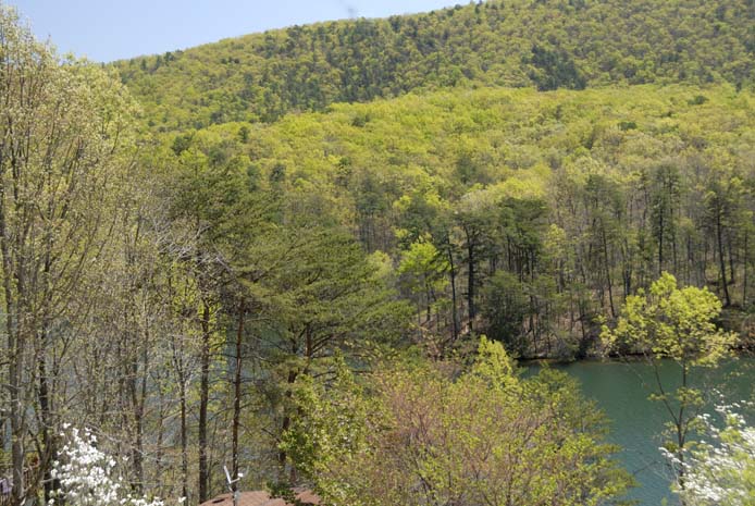 Spring at Smith Mountain Lake