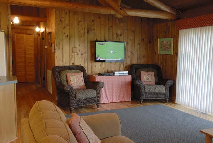 HDTV in Cedar Cabin